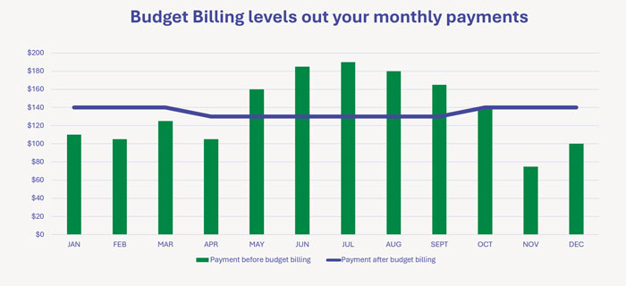 Budget Billing Graph