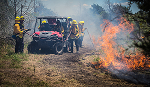 firemen containing wildfire